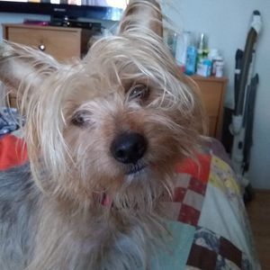 Meet your Posher, Maryann